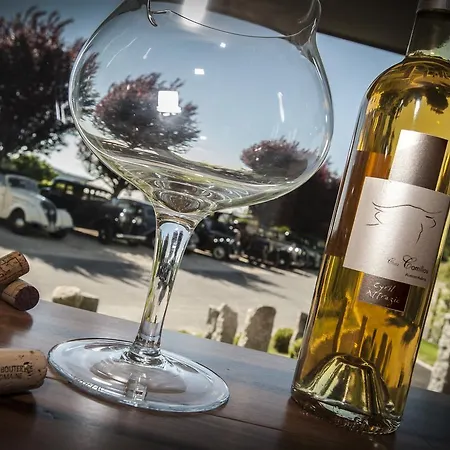 Hotel Logis Chez Camillou Aumont-Aubrac